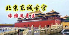 嫩操av影院中国北京-东城古宫旅游风景区